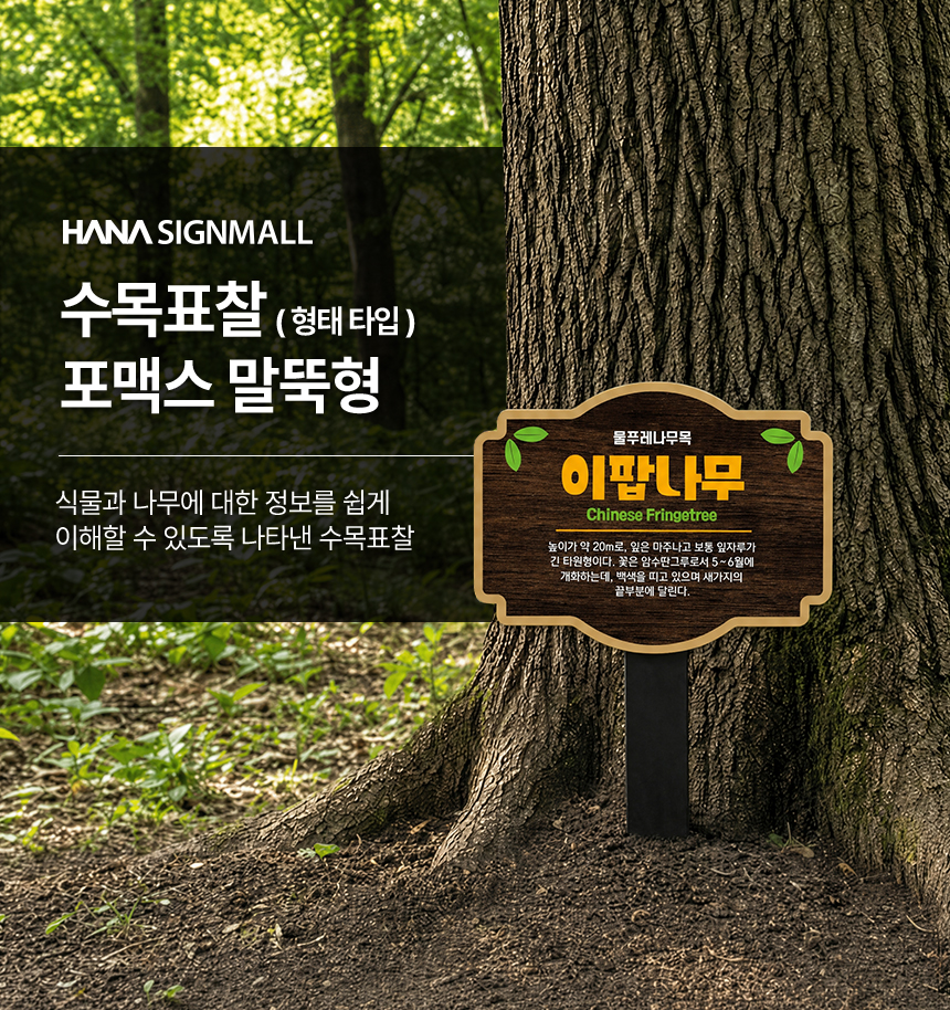 고급형 수목표찰 꽂이형 형태 상세01