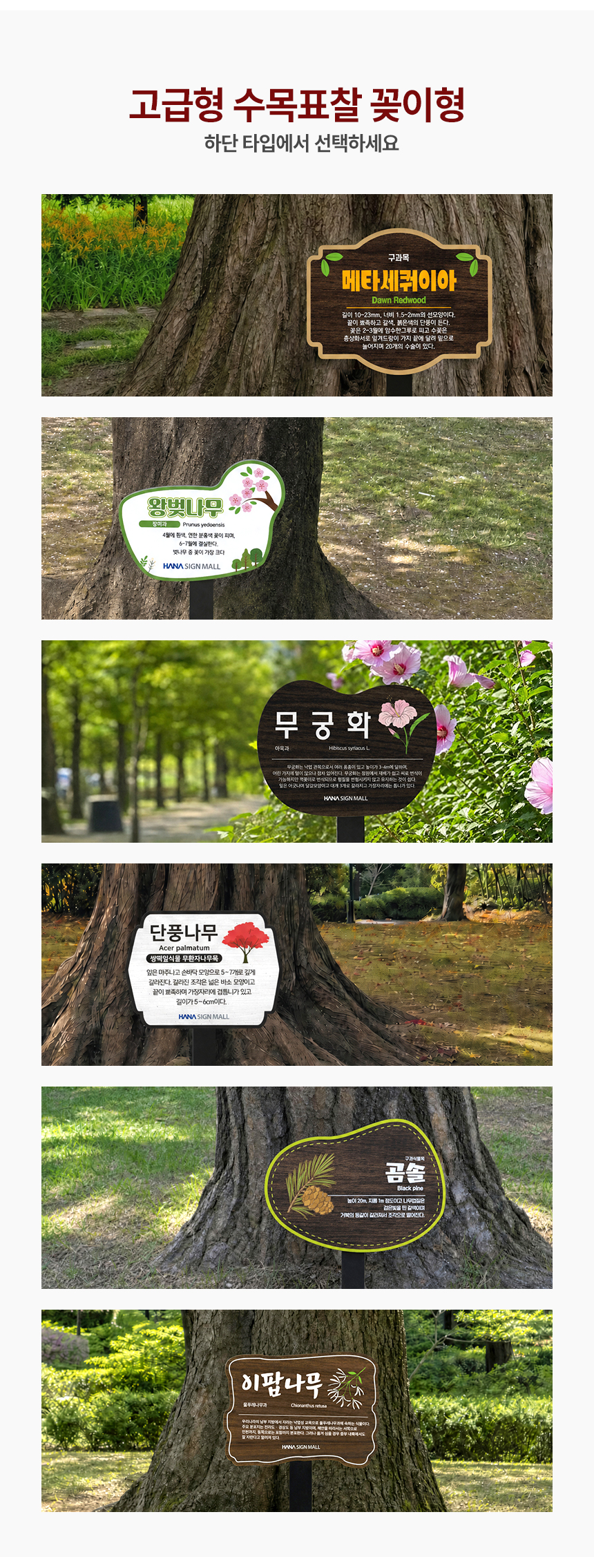 고급형 수목표찰 꽂이형 형태 상세04